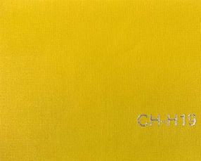 CH-H19
